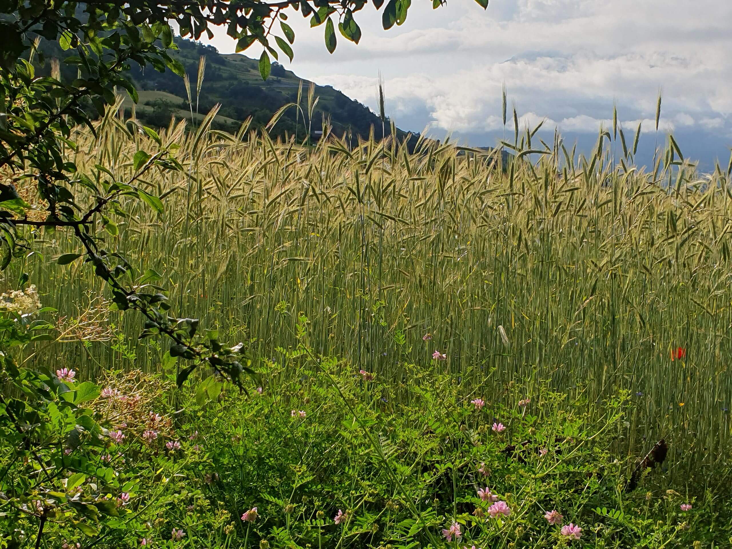 cta-bg nbc-communications-05